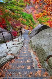 Destinasi Terbaik Untuk Menikmati Musim Gugur di Seoul